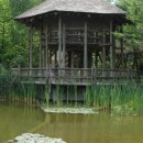 hut on water source image